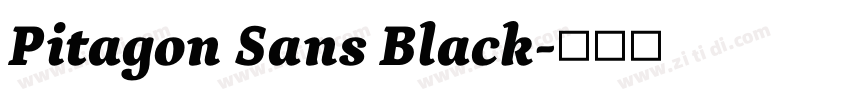 Pitagon Sans Black字体转换